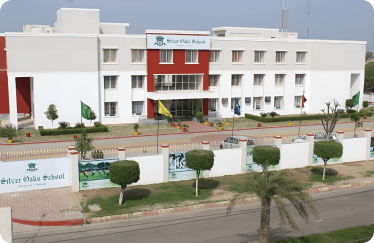 Frame 1261153097 (5) (1)